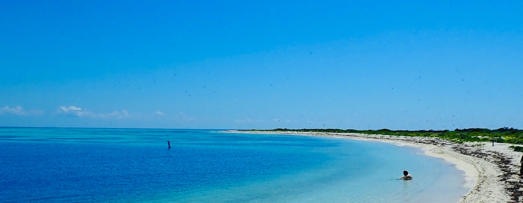 blue water white sandy beach Dry Tortugas National Park