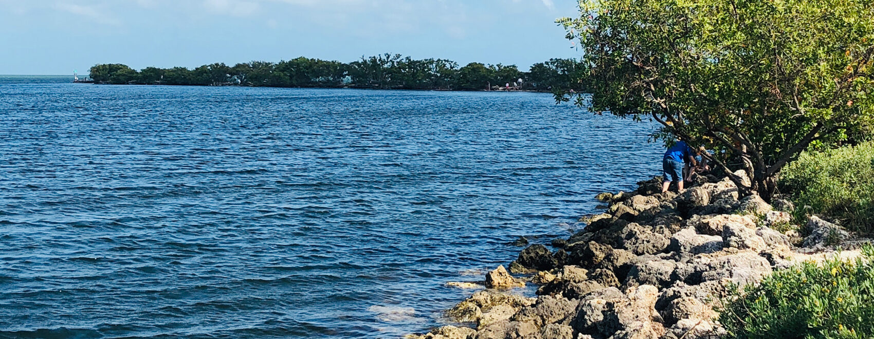 Key Biscayne Florida bay photo by Peter Hinman