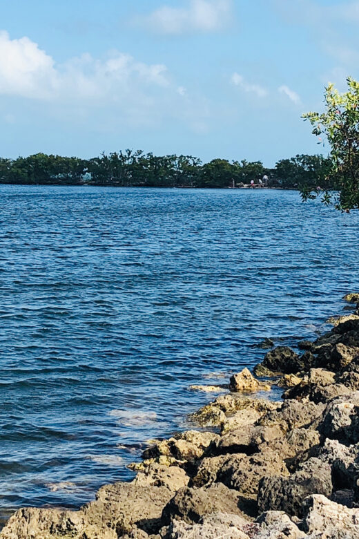 Key Biscayne Florida bay photo by Peter Hinman