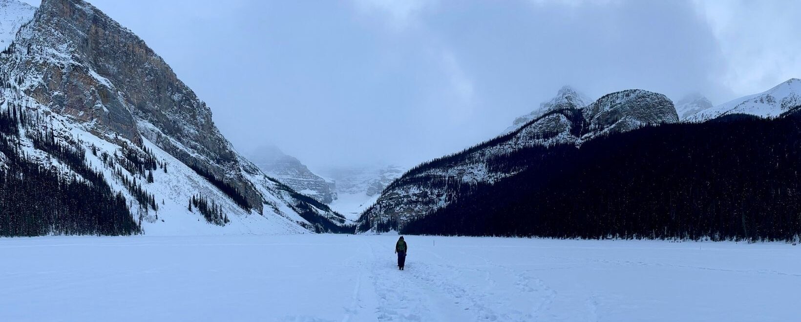 panorama winterscape