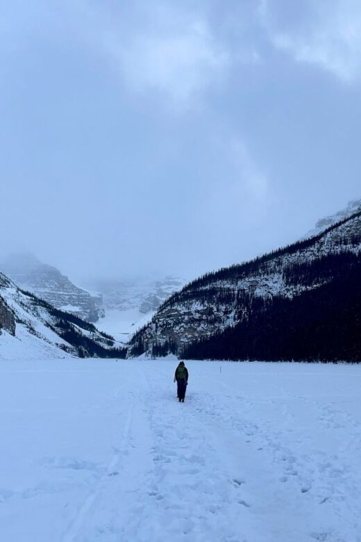 panorama winterscape