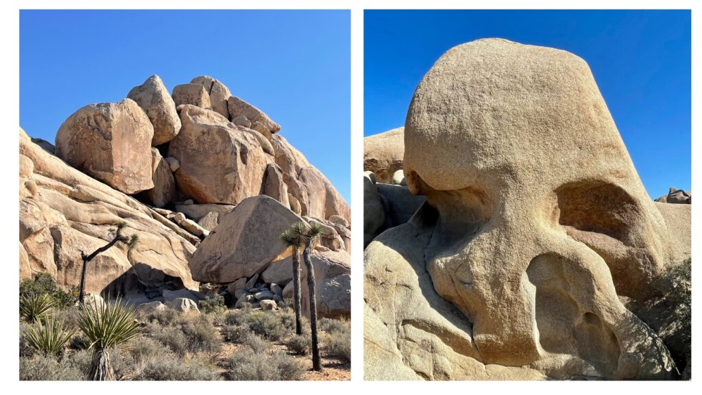 Hidden Valley and Skull Rock