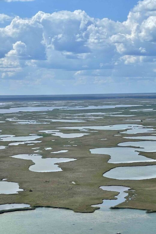 Aerial view of the bogs of Wapusk National Park