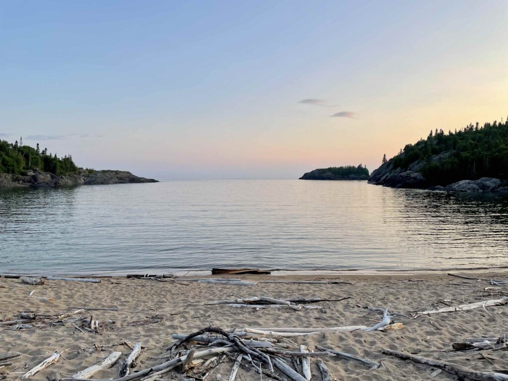 driftwood on beach at dusk