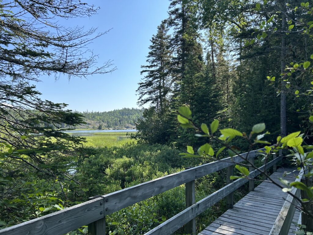 A scenic stop along the Bimoose Kinoomagewnan Trail