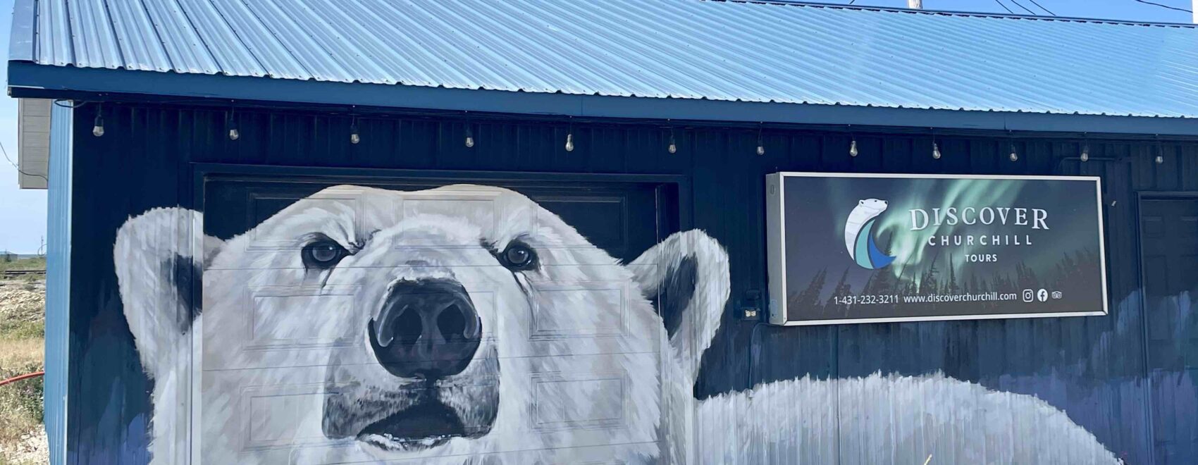 Mural of a polar bear on a building