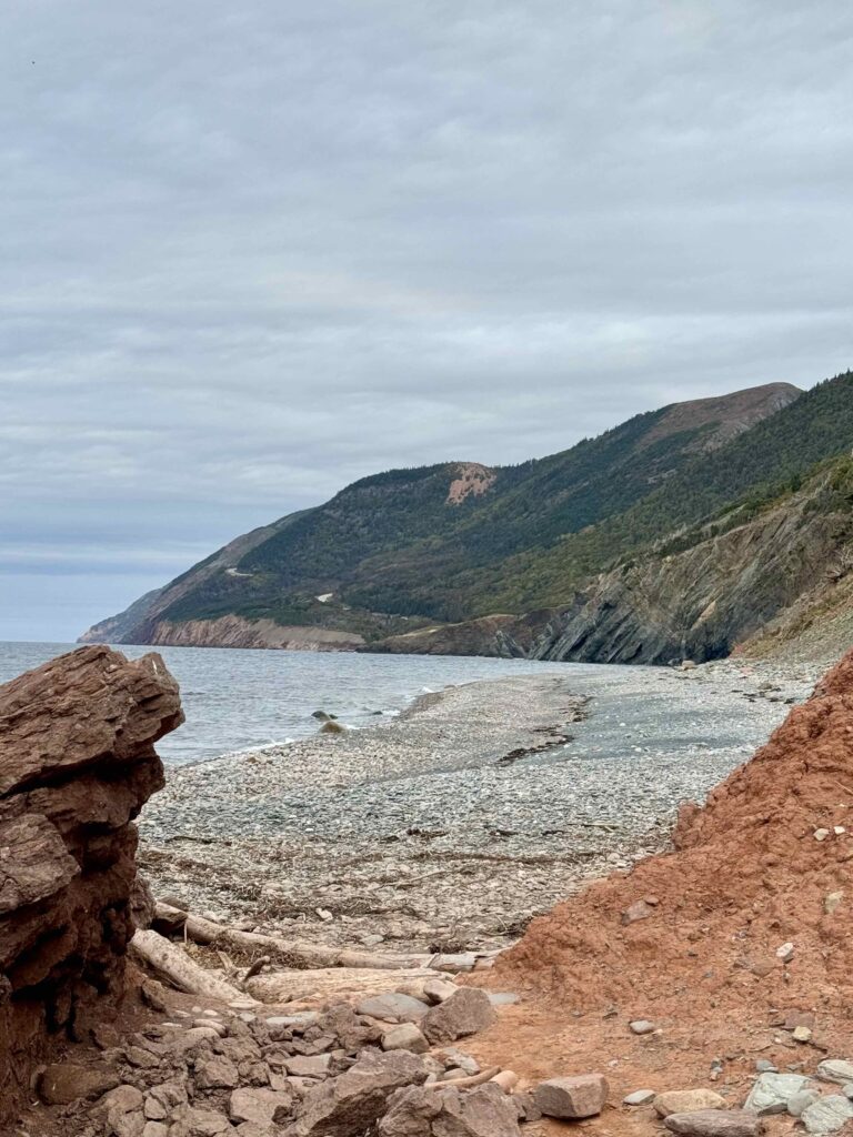 shoreline of Cap Rouge beach