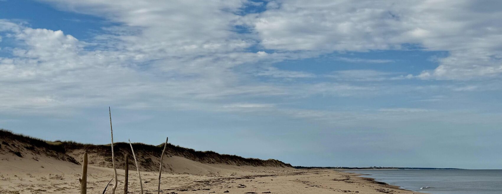 Sandy beach of PEI national park