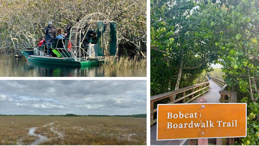 Shark Valley Visitors Center, boardwalks and sawgrass