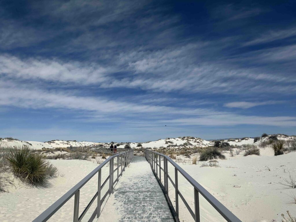 one of several boardwalk hiking trail through the flora and fauna of the
white sands national park