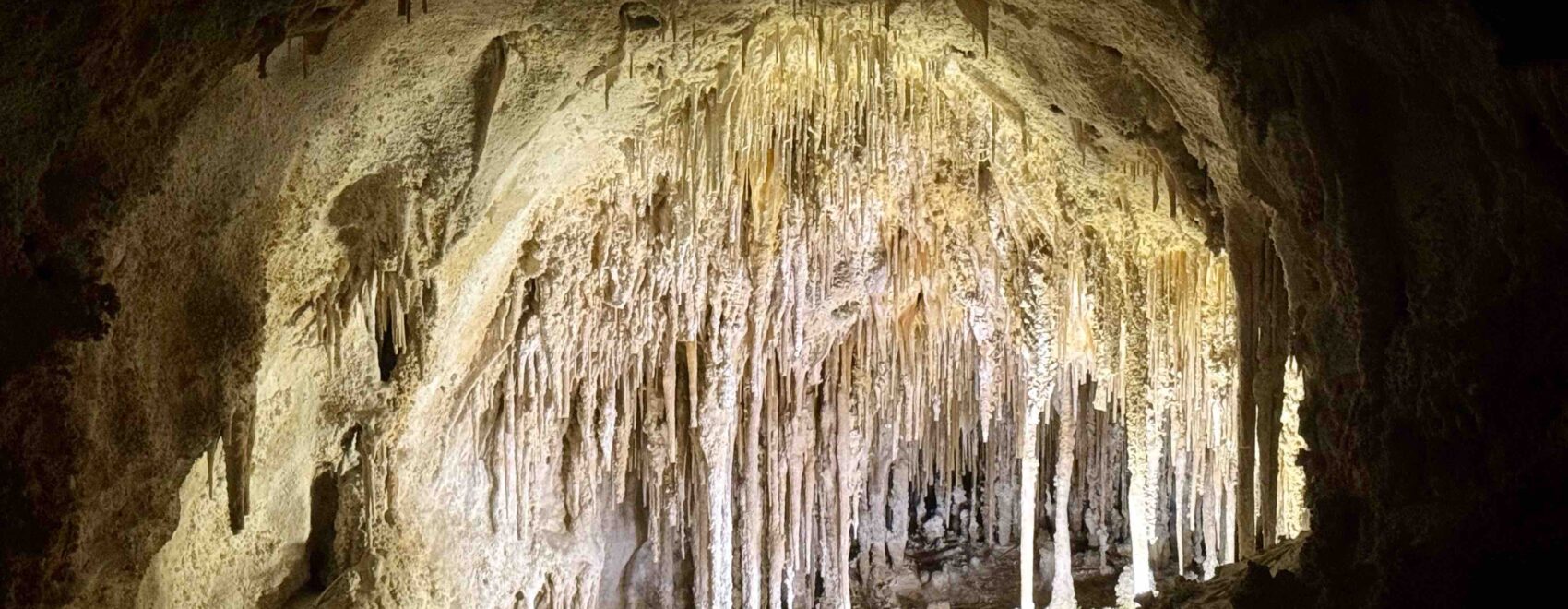 Caves of Carlsbad National Park