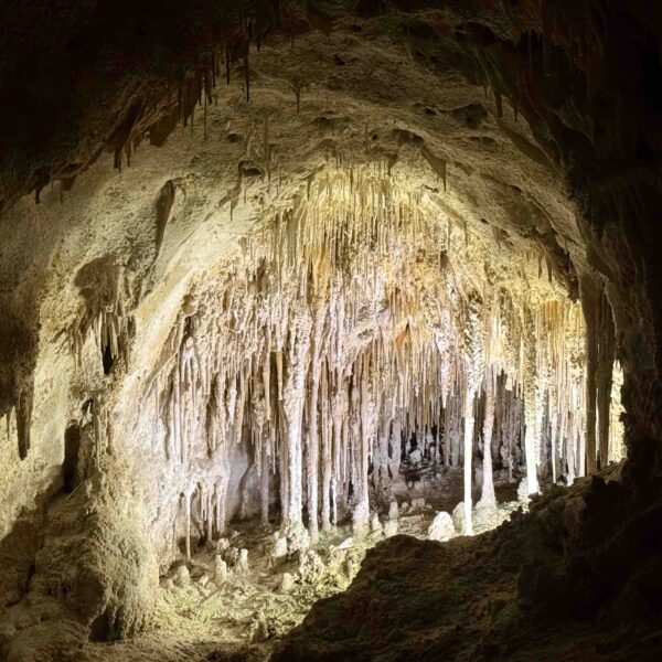 Caves of Carlsbad National Park