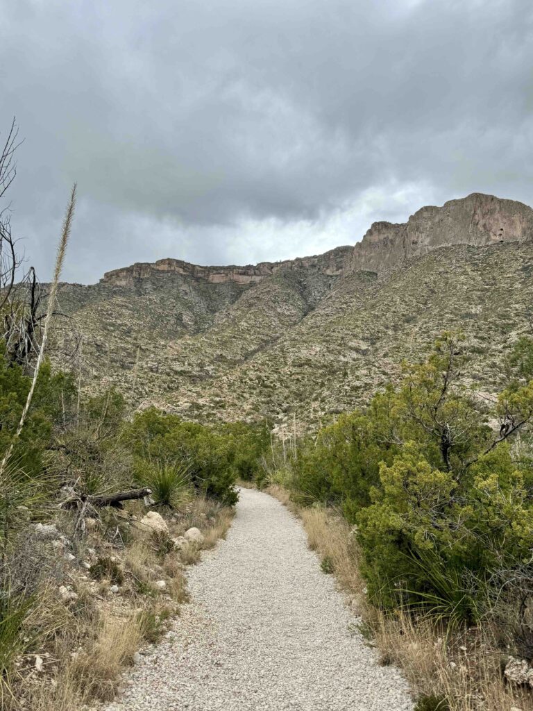 dark sky reveals a storm coming in guadalupe national park